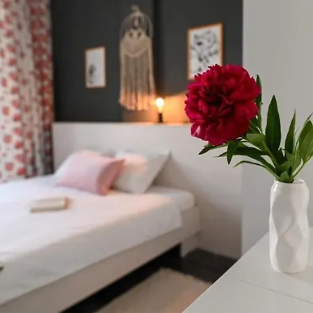 아파트 Mi Casa Su Casa