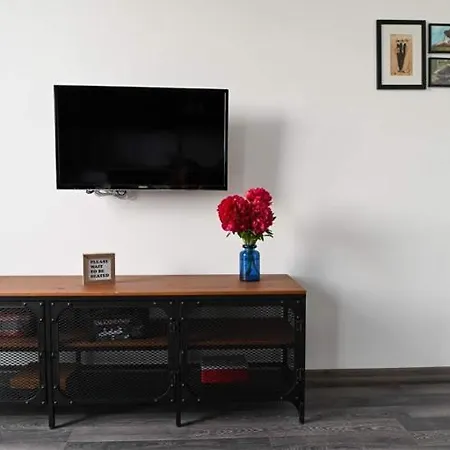 Mi Casa Su Casa 아파트 Năvodari